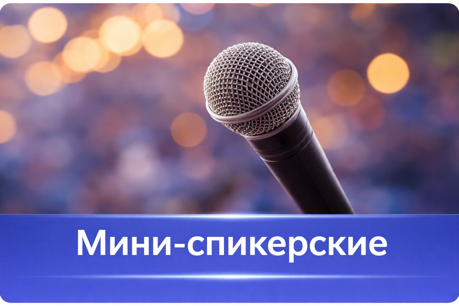 Мини-спикерские